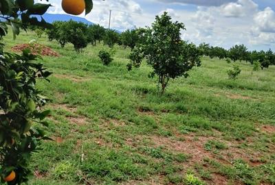 2,000 ac Commercial Land at Voi Mwatate