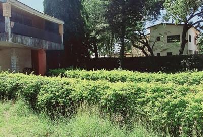 Residential Land in Nyali Area