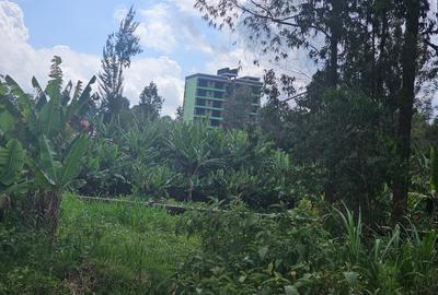 5,000 ft² Land at Muchatha Banana Kiambu - 3