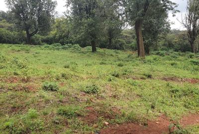 0.5 ac Land in Nyari