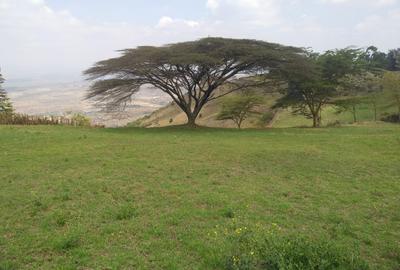 0.25 ac Land in Ngong