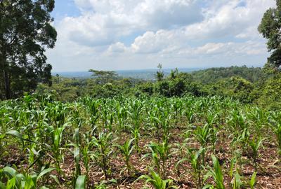 Land at Matasia
