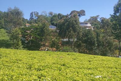 0.5 ac Land in Tigoni