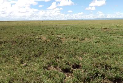 Land in Rumuruti