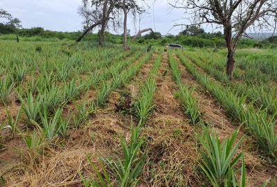 0.045 ha Land at Magarini-Dakacha