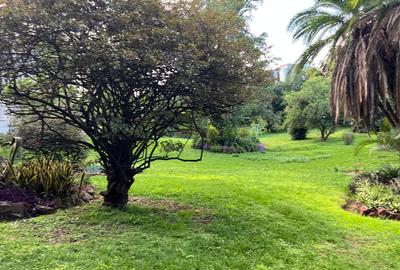 Commercial Land in Riverside - 4