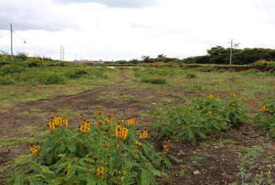 0.5 ac Residential Land in Langata