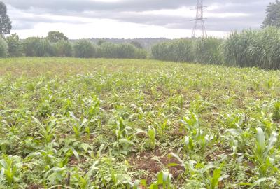 0.5 ac Land in Redhill - 4