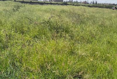 20 ac Land in Kikambala