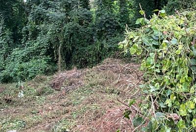 0.5 ac Land in Kitisuru