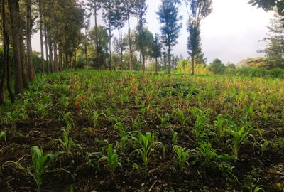 Land at Olkeri