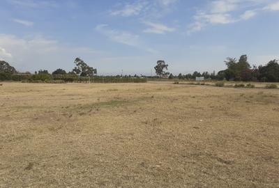 0.125 ac Land in Nanyuki