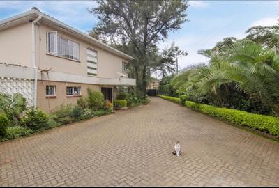 0.47 ac Commercial Property with Parking at Mucai Drive