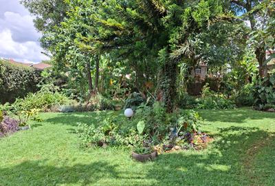 3 Bed Townhouse with En Suite at Off Duom Palm Street - 4