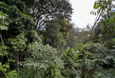 4 Bed House with En Suite in Lavington - 4