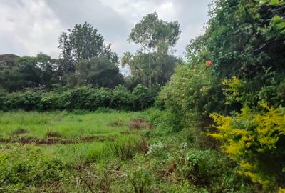 Residential Land at Ndege Road