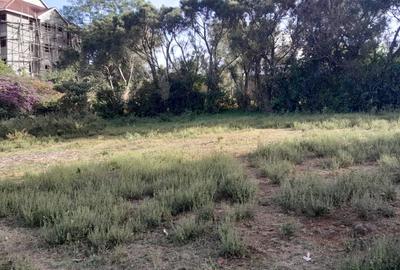 Land at Mayor Road - 3