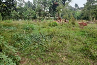 Commercial Property in Kinoo - 3