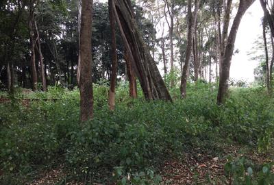 Residential Land in Karen