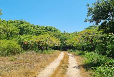 Land in Vipingo