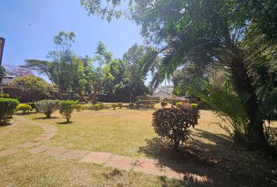 1 ac Commercial Property with Backup Generator in Lavington - 3