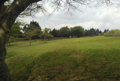 0.25 ac Land in Ngong