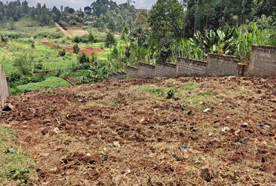 0.125 ac Land in Ruaka - 4