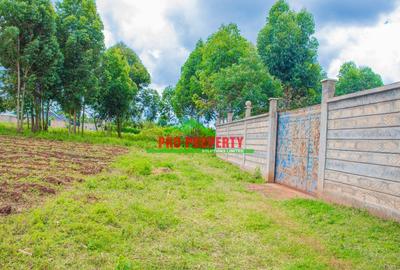 0.05 ha Commercial Land at Lusigetti