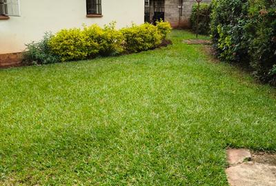 4 Bed Townhouse with En Suite at Spring Valley - 2