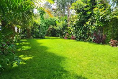 6 Bed House with Swimming Pool in Runda - 4