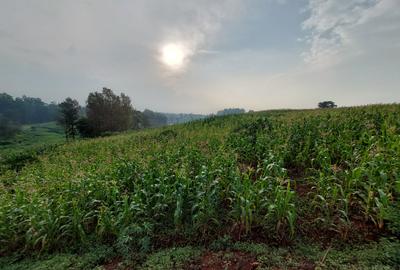 Land at Kitisuru Road