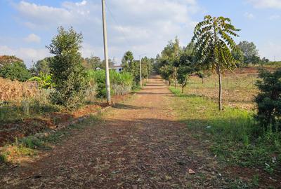 0.6 ac Land in Runda