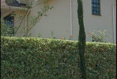 4 Bed Villa with En Suite in Kitisuru