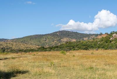 100 ac Land at Lolldaiga Valley - 4