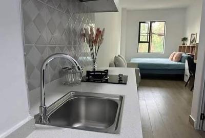 Serviced Studio Apartment with En Suite at Thika Road - 3