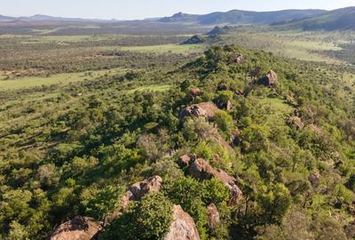 100 ac Land at Lolldaiga Valley