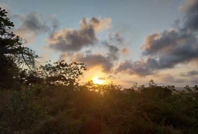 2.0 ac Land at Diani