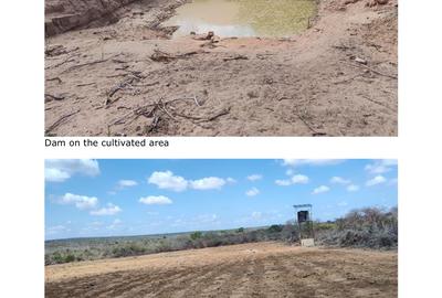 Land in Malindi