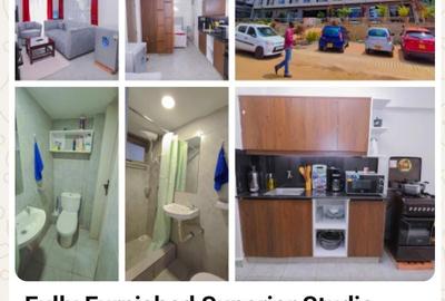 Serviced Studio Apartment with En Suite at Thindigua - 2