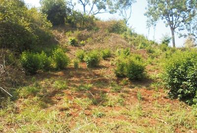 6.3 ac Land in Nyeri