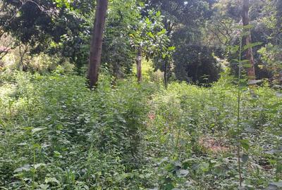 Residential Land at General Mathenge Drive