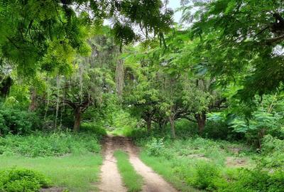 Land in Vipingo