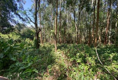 Land in Kitisuru - 2