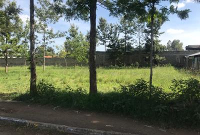 10,000 ft² Land at Kenol Town Front Row