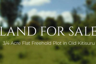 0.75 ac Land in Kitisuru