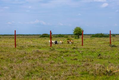0.115 ac Land in Nanyuki - 4