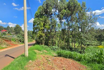 Residential Land in Kitisuru - 2