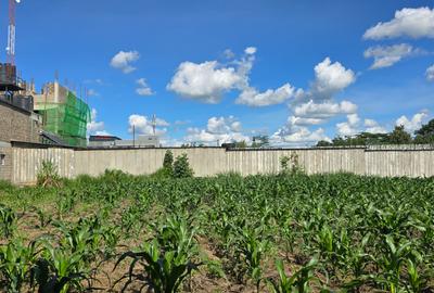 0.5 ac Land at Ruiru - 3