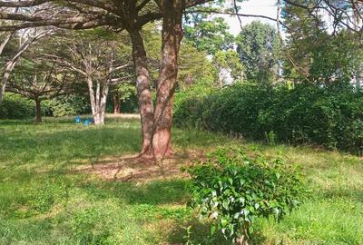 1.1 ac Residential Land at Lavington Green - 3
