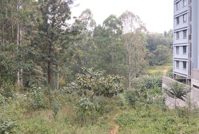 Commercial Land at Kirawa Road